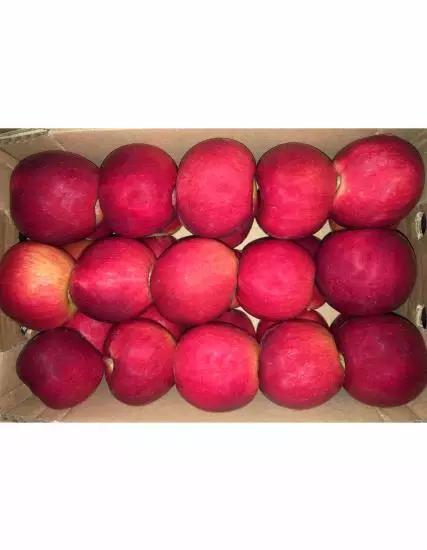 Amasya Misket Apple 3 Kg PDO