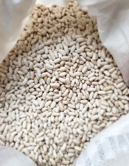 Manyas Kazakh Beans 1 Kg with PGI